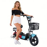Vélo électrique multifonctionnel 14 pouces 48V 350W avec télécommande, pneus à vide, vélo intelligent pour la ville