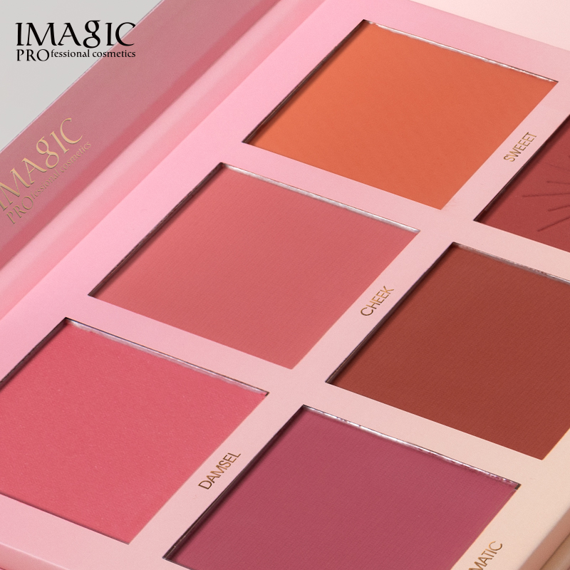 Лидер продаж в Азии, точечная оптовая продажа, палитра румян, веганские Румяна для черной кожи