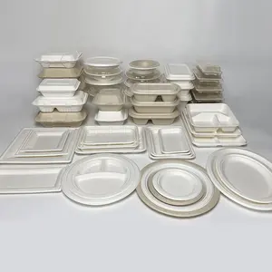 Eco Friendly Biodegradable Compostable Sugarcane Bagasse Products Plate Dish Paper Tableware Dinnerware Manufacturer