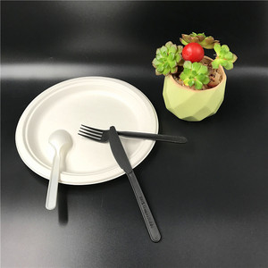 <span class=keywords><strong>2025</strong></span> Mới Nhất Bộ Đồ Ăn Dùng Một Lần 6 Inch Trắng Takeaway Dao Kéo Cpla Dùng Một Lần Phân Hủy Sinh Học Muỗng Cho <span class=keywords><strong>Ice</strong></span> <span class=keywords><strong>Cream</strong></span> - Product Image 4