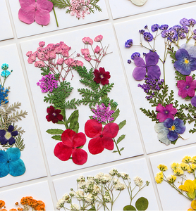 12 pièces/paquet de mélange de fleurs pressées pour la fabrication de <span class=keywords><strong>savon</strong></span> et de bougies en résine époxy bricolage artisanat et carte-cadeau - Product Image 6