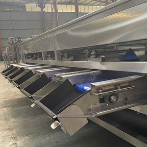 Calibrateur de qualité industrielle Moxin respectueux de l'environnement pour agrumes, citrons verts et pomelo - Product Image 4