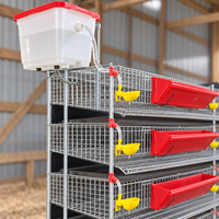 Cage à cailles galvanisée à 6 niveaux avec mangeoires rouges et système d'abreuvement automatique pour élevage de volailles