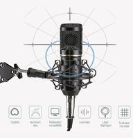 Microphone PC Ensemble de micro de studio cardioïde professionnel avec bras de ciseaux de suspension de micro, support antichoc pour enregistrement en studio