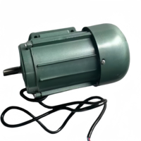 Moteur asynchrone triphasé à haute efficacité WeiLi 10KW IE2/IE3 220V-480V 50/60Hz Norme internationale IP44/IP54 F