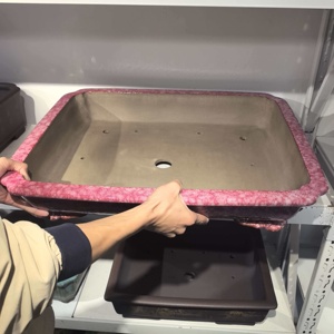 Maceta de Bonsái Hecha a Mano de Alta Calidad, Tamaño XXL, de Arcilla Morada Yixing Esmaltada en Rosa Nieve, con Patas de Nube - Product Image 4