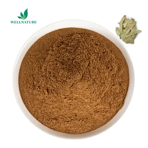 Wellnature suministro de extracto de hoja de guayaba 20% guayaba flavona extracto de hoja de guayaba en polvo