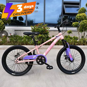 Vélo de montagne pour garçons MTBGO traditionnel, 3-15 ans, <span class=keywords><strong>20</strong></span> <span class=keywords><strong>pouces</strong></span>, acier, simple vitesse, avec amortisseur avant et panier en plastique - Product Image 5