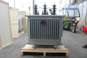 特価販売 カスタムメイド <span class=keywords><strong>6</strong></span>/<span class=keywords><strong>6</strong></span>.3/10/11kV 三相 30-3150kVA 油浸式電力変圧器 電気機器 ISO9001 - Product Image 4