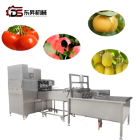 Automatische appel- en peren schilmachine, industriële fruitverwerkingsmachine voor appels