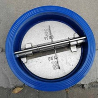 Válvula de Retención de Disco de Acero Inoxidable 304 PN16 de 4 Pulgadas de Una Vía, Tipo Wafer de Doble Placa, de Fábrica China Veyron
