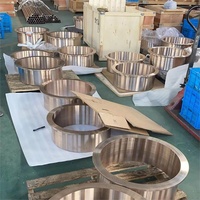 CuNi 90/10 C70600 CuNi10Fe1.6Mn 7060X Bride en alliage de nickel CuNifer Cooper