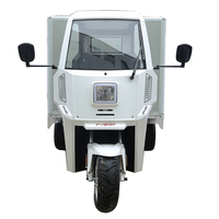 Mini fourgon utilitaire / Petit fourgon de livraison ou de transport / Véhicule utilitaire commercial