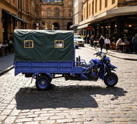 Tricycle agricole à essence 250cc, benne basculante, camion de ferme puissant à 3 roues avec cabine
