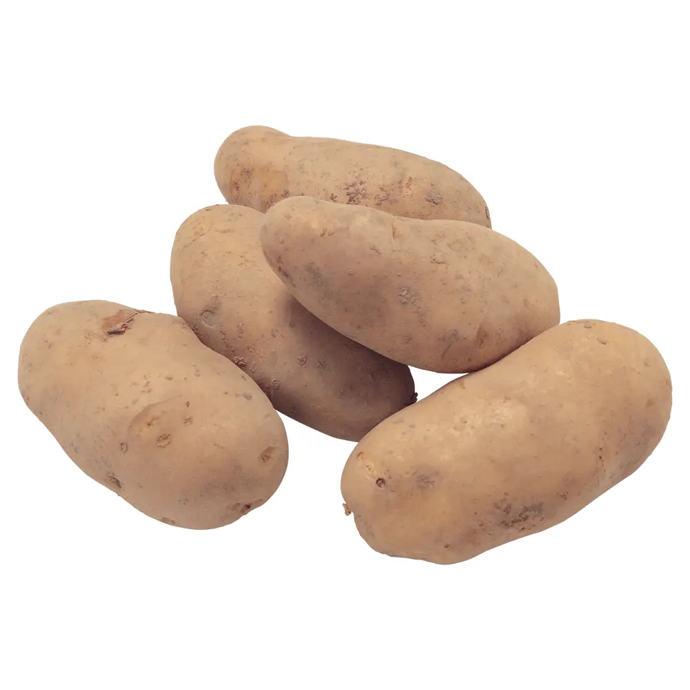 تصدير البطاطس المهنية مصدر البطاطس سعر المصنع البطاطس