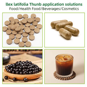 कारखाने की आपूर्ति किउडिंग पत्ती हर्बल चाय अर्क पाउडर 10:1 इलेक्स कुडिचा पॉलीसैक्राइड व्यापक पत्ती निकालने पाउडर - Product Image 4