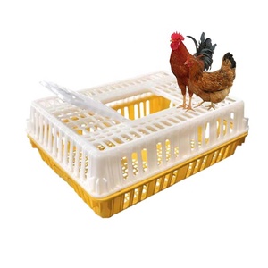 Caja de transporte de pollos de plástico HDPE, cajas de transporte de aves de corral, jaula de aves de corral usada, precio de fábrica de China