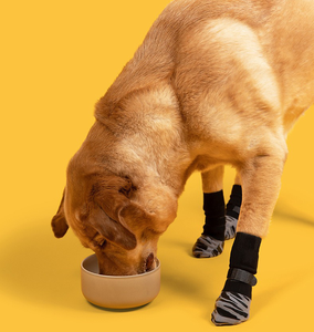 Venta al por mayor de fábrica y calcetines de algodón antideslizantes y silenciosos para mascotas, para perros de razas grandes, para uso en interiores y exteriores. - Product Image 5