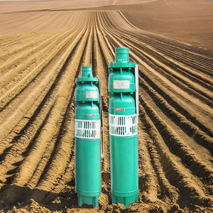 QS Serisi Derin Kuyu Dalgıç Pompası: Yüksek Basınç, Büyük Debili ve Enerji Tasarruflu Özellikler - Product Image 1