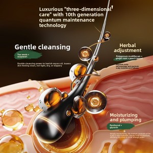 Shampooing Rafraîchissant à l'Essence de Gingembre et Polygonum Multiflorum, Anti-Pelliculaire, Hydratant et Régulateur de Sébum - Product Image 4