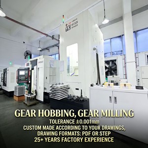 Custom <strong>Worms</strong> <strong>Gears</strong> <strong>Worm</strong> <strong>Gear</strong> <strong>Worm</strong> <strong>Gears</strong> - Product Image 6
