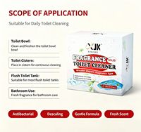 Bloc purificateur sanitaire pour toilettes, nettoyage continu pour l'entretien quotidien de la salle de bain, directement de l'usine