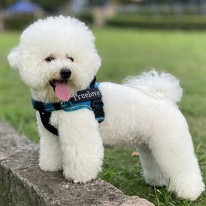 สายรัดสุนัขแบบหนาพิเศษ ป้องกันการดึง ทนทาน พร้อมหูจับ สะท้อนแสง ระบายอากาศ ป้องกันการหลุดรอด มีไฟในตัว - Product Image 3