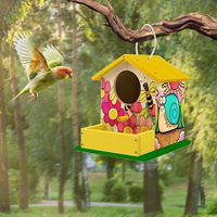 Kit de nichoir en bois à faire soi-même pour enfants - Mangeoires à oiseaux à construire et peindre avec des pinceaux et de la peinture, projet de jardin créatif