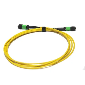 OM3/OM4 MPO Connector Patch Cord Fiber MPO Trunk Cable 8/12/24F MTP MPO Cable