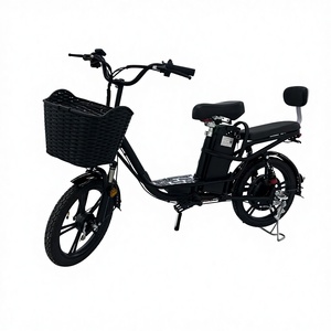 Velo Cargo Tricycle Adulte 20 Pouces 8 Vitesses - Vélo à 3 Roues Avec