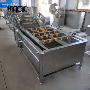 Máquina Automática Comercial de Lavado de Brotes de Frijol con Burbujas, Máquina de Lavado de Vegetales con Burbujas, para Frutas Frescas como Mango, Manzana y <span class=keywords><strong>Aguacate</strong></span> - Product Image 3