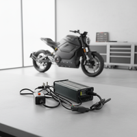 Chargeur de batterie LiFePO4 48V/58.4V 5A 16S 300W 220V pour vélos électriques et motos