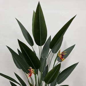 Ndoor-Oración de 180cm, - Product Image 6
