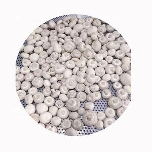 פטריית שמניון לבן גידלו פטריות טרי ובריא מעובד למחירי השוק בסגנון שמפיניון שלם - Product Image 3