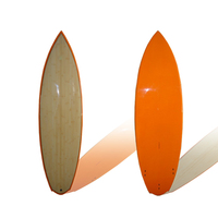 Planche de surf en mousse et bois, animaux EPS, à queue ronde, époxy