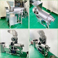 Vruchtensap Pulp Ananas Tomaat Extract Mango Kokosmelk Maken Fruit Pulper Pers Extractor Machine