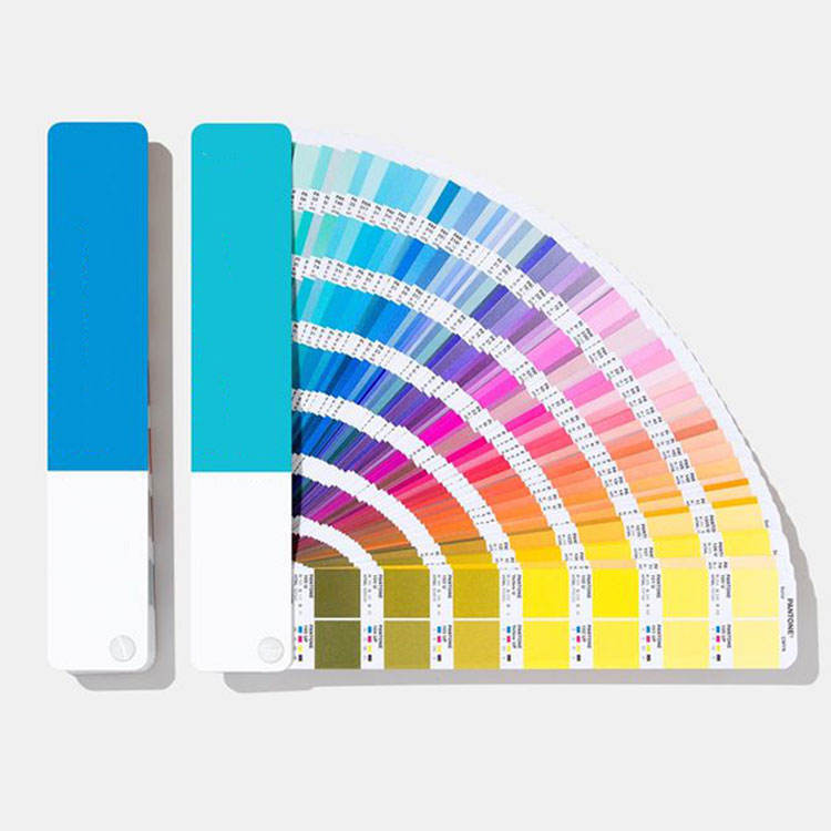 Couleur : selon les exigences