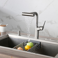 Robinet de cuisine extractible en acier inoxydable 304, robinet de lavabo extractible sans plomb 316, vente chaude sur TikTok, robinet cascade poisson volant