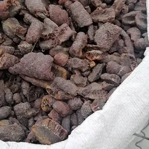Zi cao rong 100% blocchi di gommalacca naturale lac insetto resine per la vendita