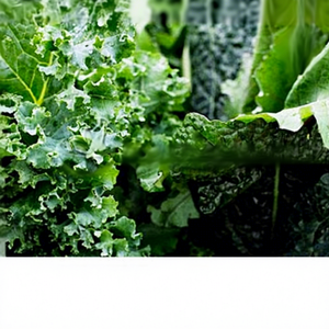 Poudre de chou frisé riche en nutriments, superaliment vert, riche en vitamines, minéraux, antioxydants et nutriments végétaux pour l'énergie - Product Image 1