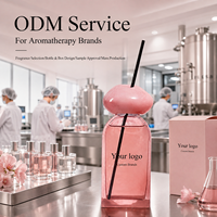 Diffuseur de parfum en verre sphérique rose personnalisé 50 ml, parfum de rose, conteneur d'arôme, emballage à marque privée pour les marques de décoration intérieure