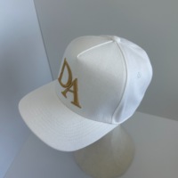 Topi Snapback 5 Panel Custom, Pinggiran Datar, Performa Tinggi, Outdoor, Unisex Dewasa, Grosir, Polos, Bahan Katun, Streetwear, Bordir