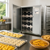 Tropische fruitdroogmachine warmtepompdehydrator drakenvrucht papaja