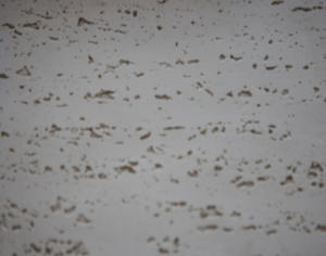 Carreaux muraux flexibles <span class=keywords><strong>de</strong></span> haute qualité 1200*2400 pierre douce face à la brique panneau <span class=keywords><strong>de</strong></span> revêtement mural intérieur extérieur <span class=keywords><strong>ardoise</strong></span> douce - Product Image 2