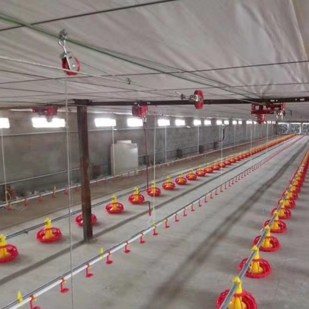 NEW Plastic PP Steel Chicken House