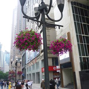 Pot de fleurs suspendu, pot de jardin suspendu, pot de plantes suspendu, panier de jardin suspendu en plastique, pot de fleurs suspendu en plastique de Chine - Product Image 6