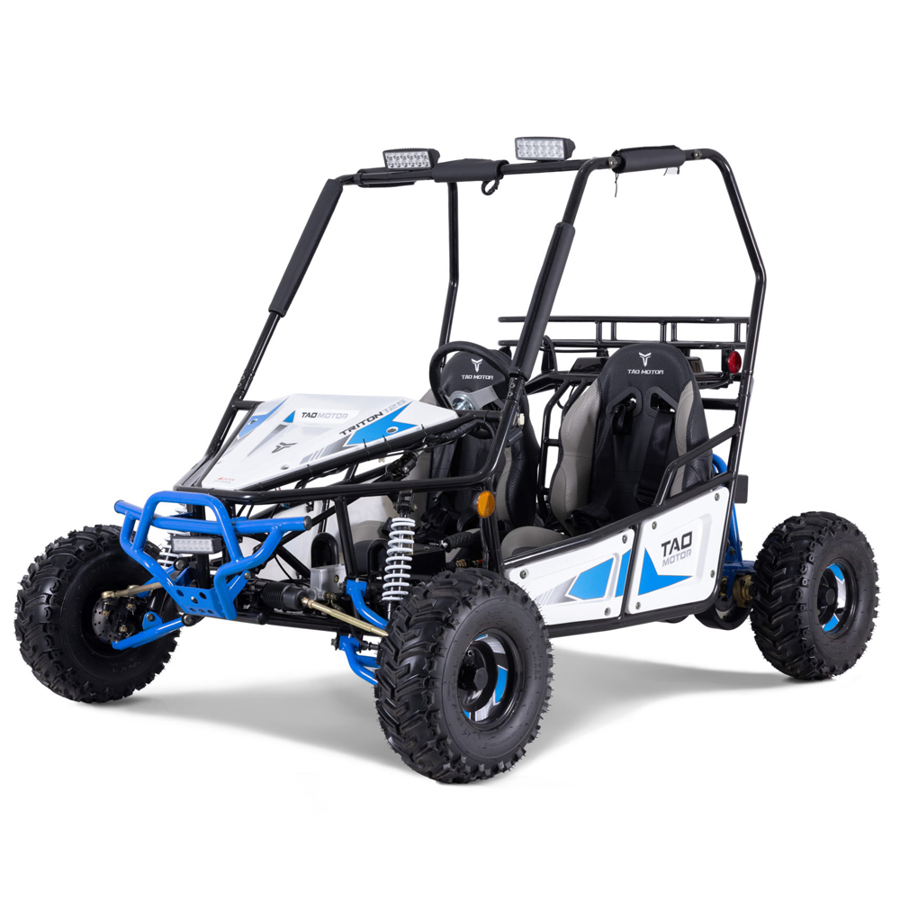 Tao Motor 2023 New Design Buggy 125cc Go Karts for Adults
