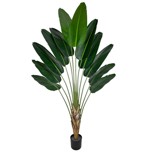 <span class=keywords><strong>Plante</strong></span> artificielle de bananier du voyageur de haute qualité, fausse <span class=keywords><strong>plante</strong></span> verte en pot, fabrication sur mesure de plantes artificielles pour la <span class=keywords><strong>d</strong></span>écoration intérieure - Product Image 1