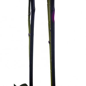 High Quality <b>Artificial</b> Phalaenopsis Orchid Flowers for Home & Wedding Decorations Stylish Stems for Mother's Day & Easter - Product Image 4