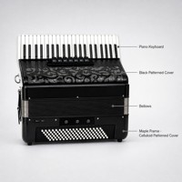 Accordéon portable 41 touches 120 basses, instrument de musique pour scène professionnelle, solo, groupe, examen de niveau et performance